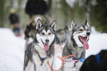 /᡼/Visit Finland